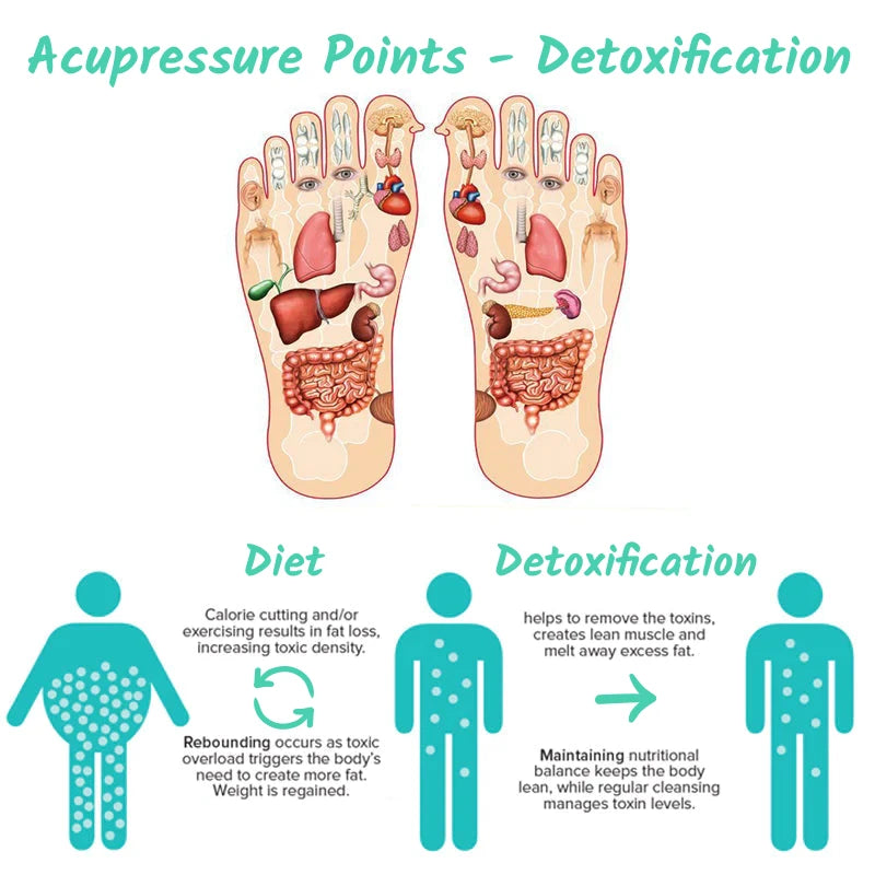 Diagram with EMS Acupoint Foot Massager Detoxification.