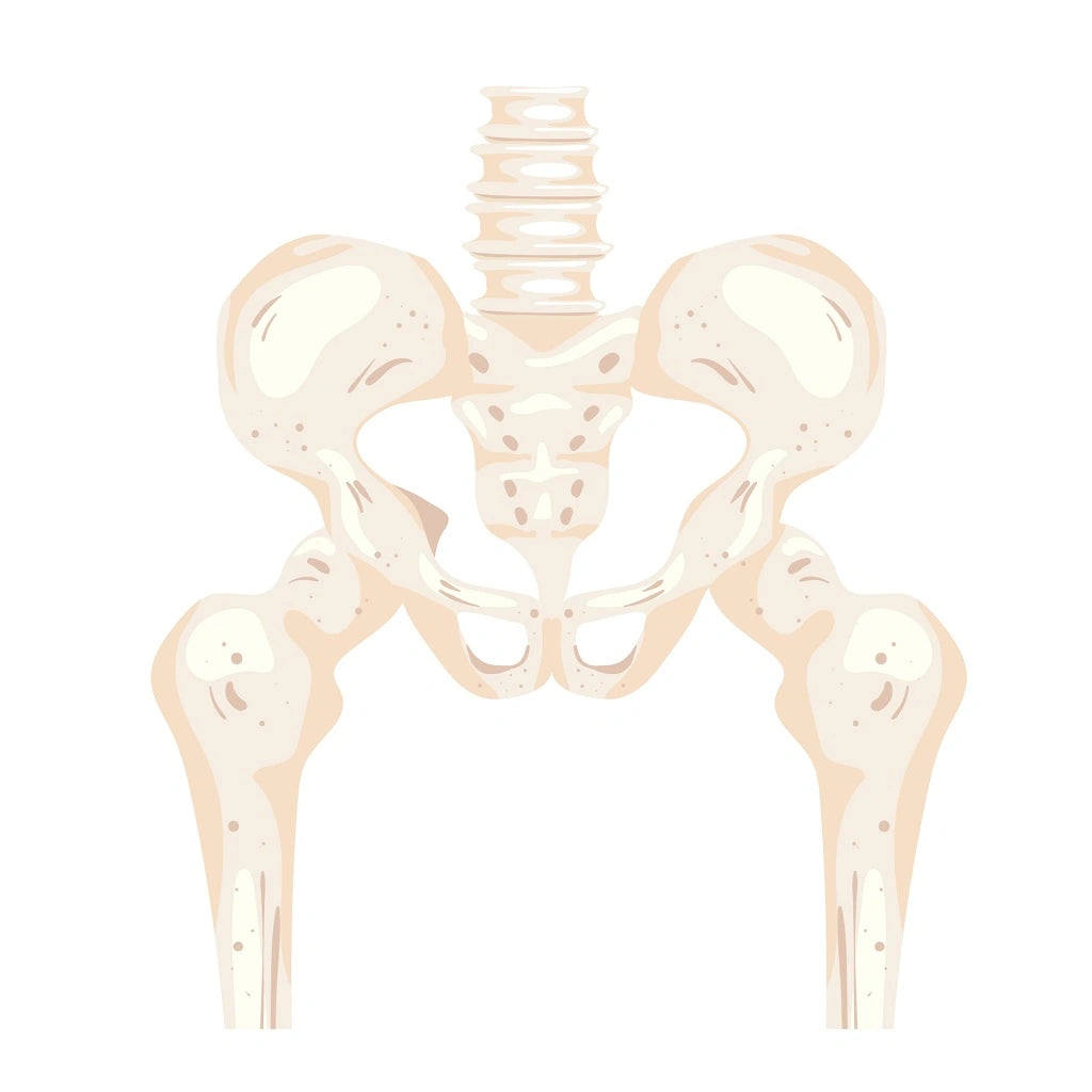 Illustration of pelvic pain.