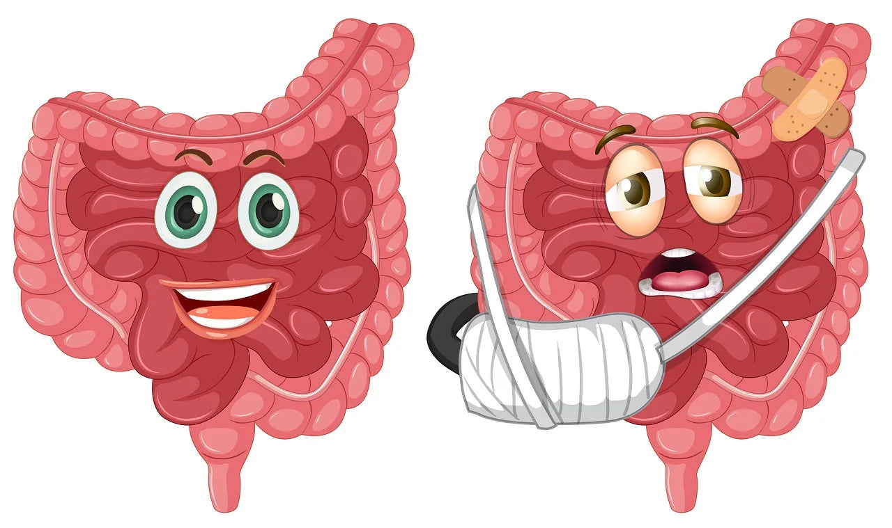 Illustration showing the healthy and diseased gut microbiome in antithesis.